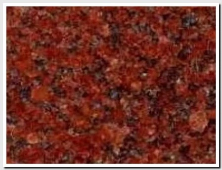 Rosa Houdy Dark Granite