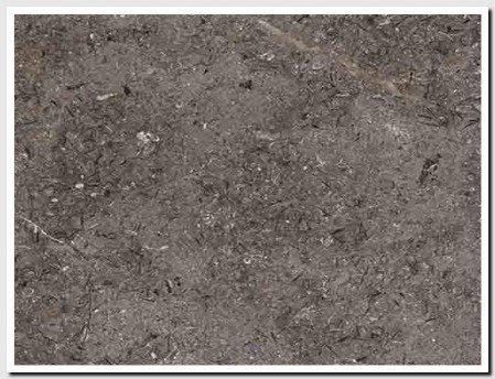 Triesta Grey Marble