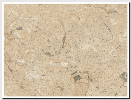 Triesta Marble